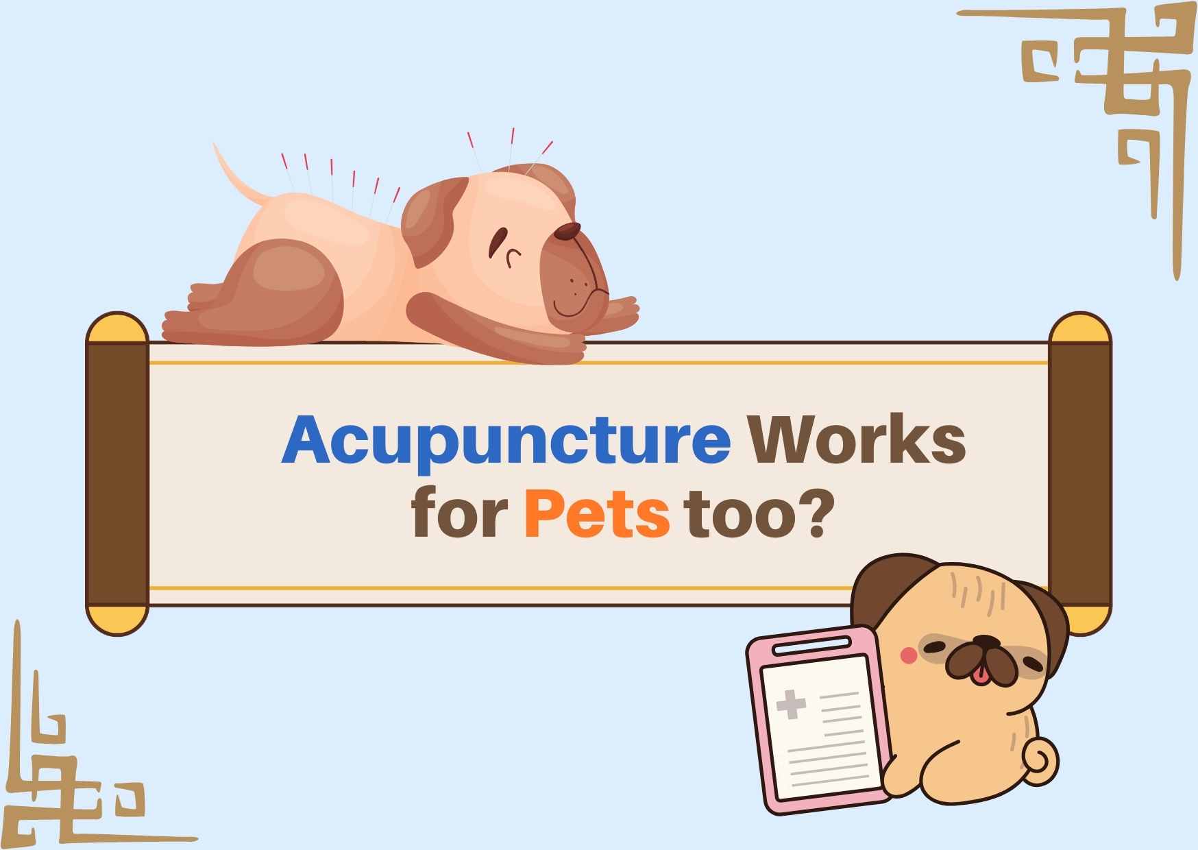 Sapevi che l’agopuntura funziona anche per gli animali? Il Dr. Ying-Ting Chien spiega 'Come Affrontare i Problemi Articolari'