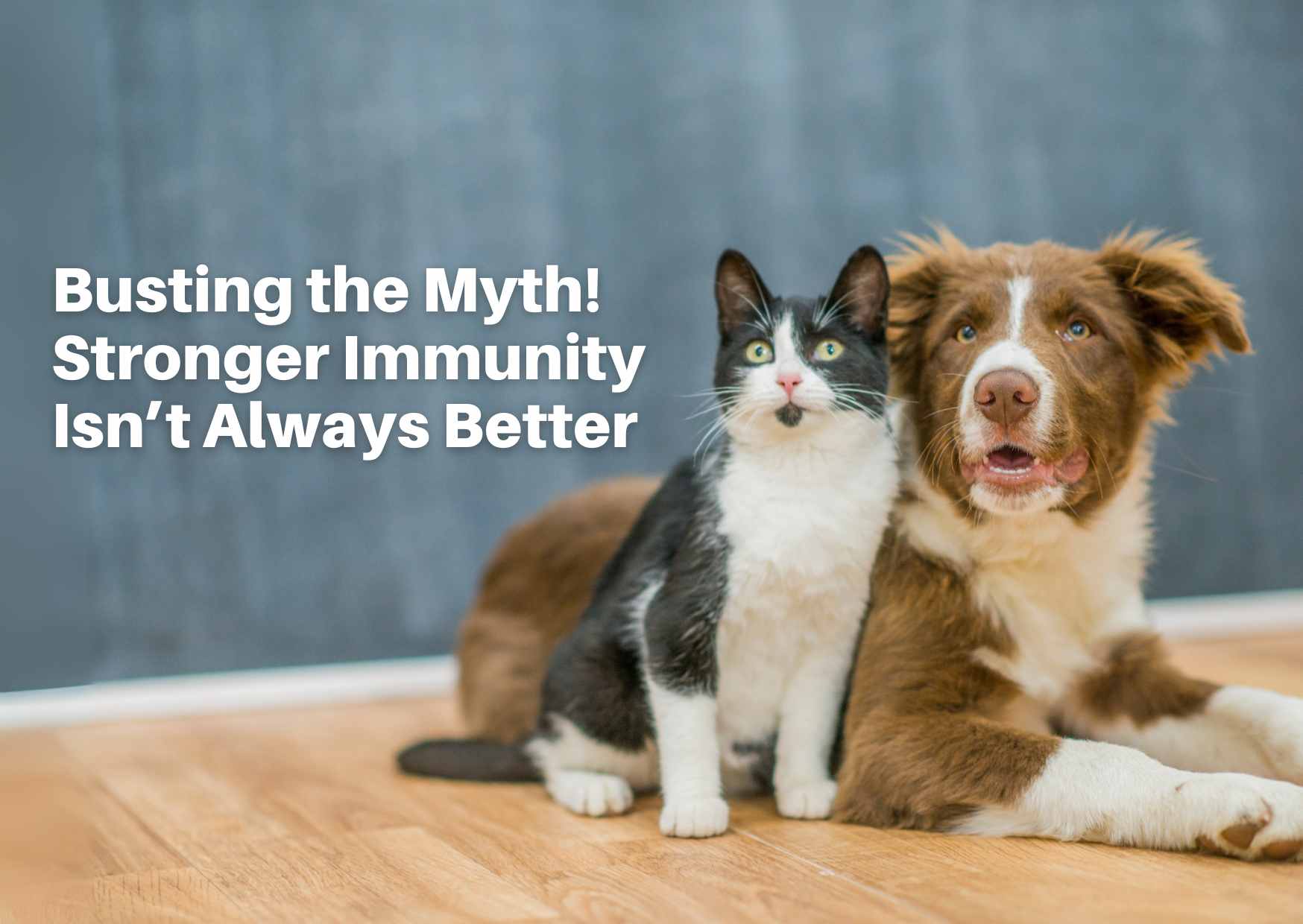 Sfatiamo il Mito! Un’Immunità Più Forte Non è Sempre Meglio—L’Equilibrio è la Chiave per la Salute