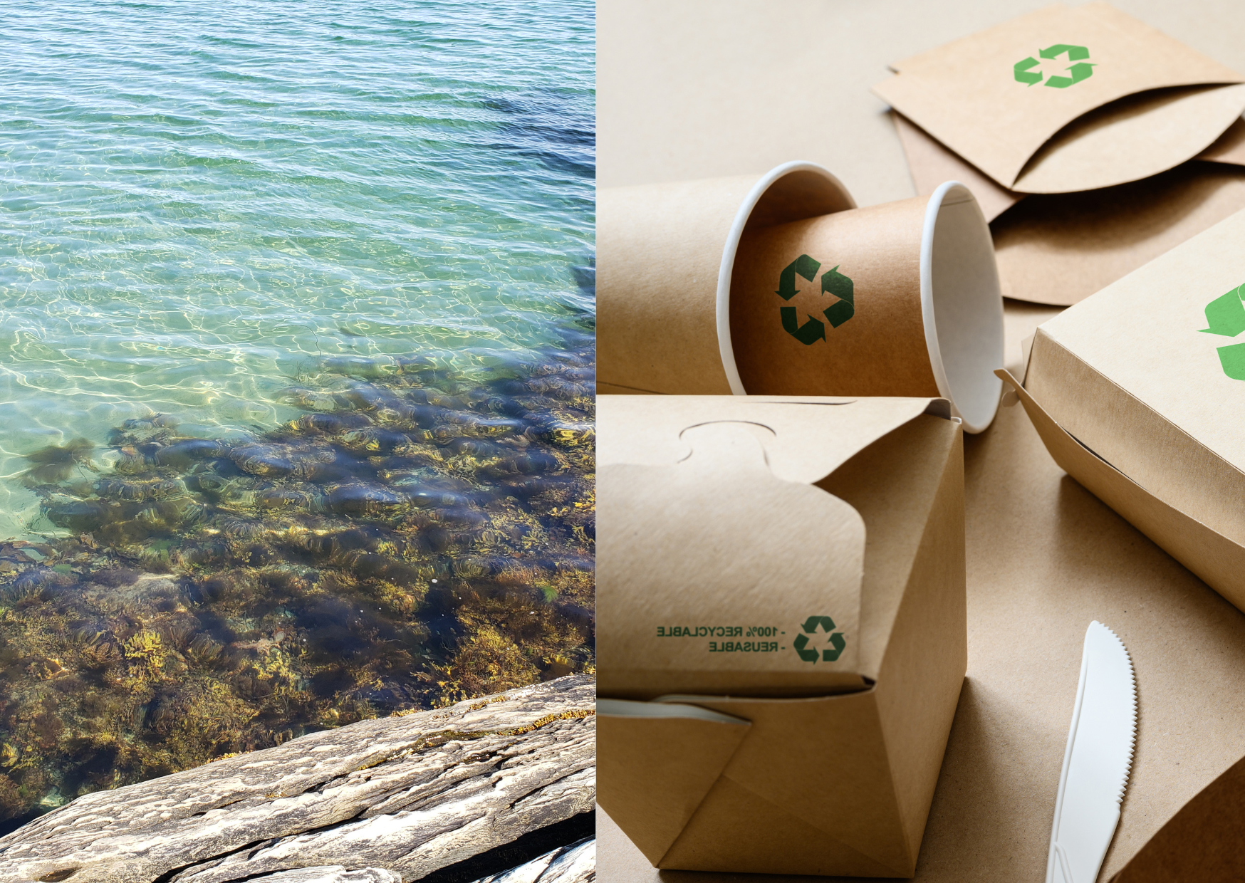 Pionieri della Sostenibilità: Le Alghe Sostituiscono il Packaging in Plastica