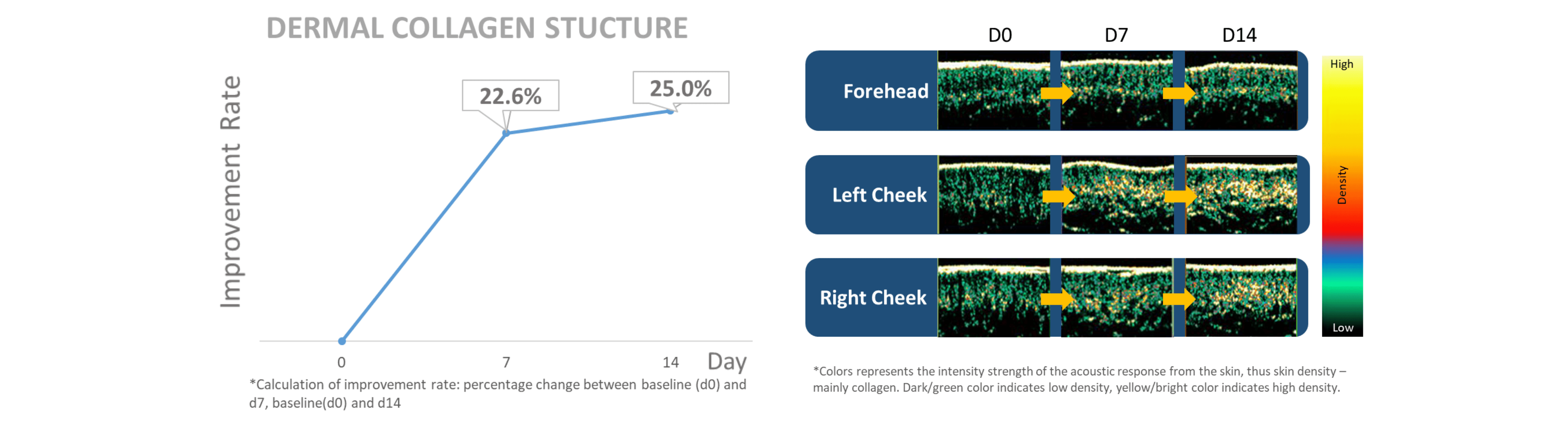 Improve Dermal Collagen Structure