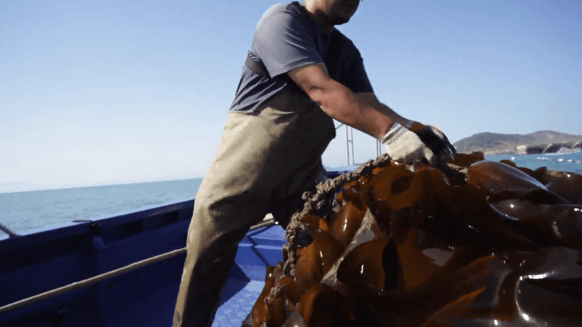 FucoSkin® Laminaria Japonica Extract Supplier by Hi-Q Marine Biotech International Ltd.