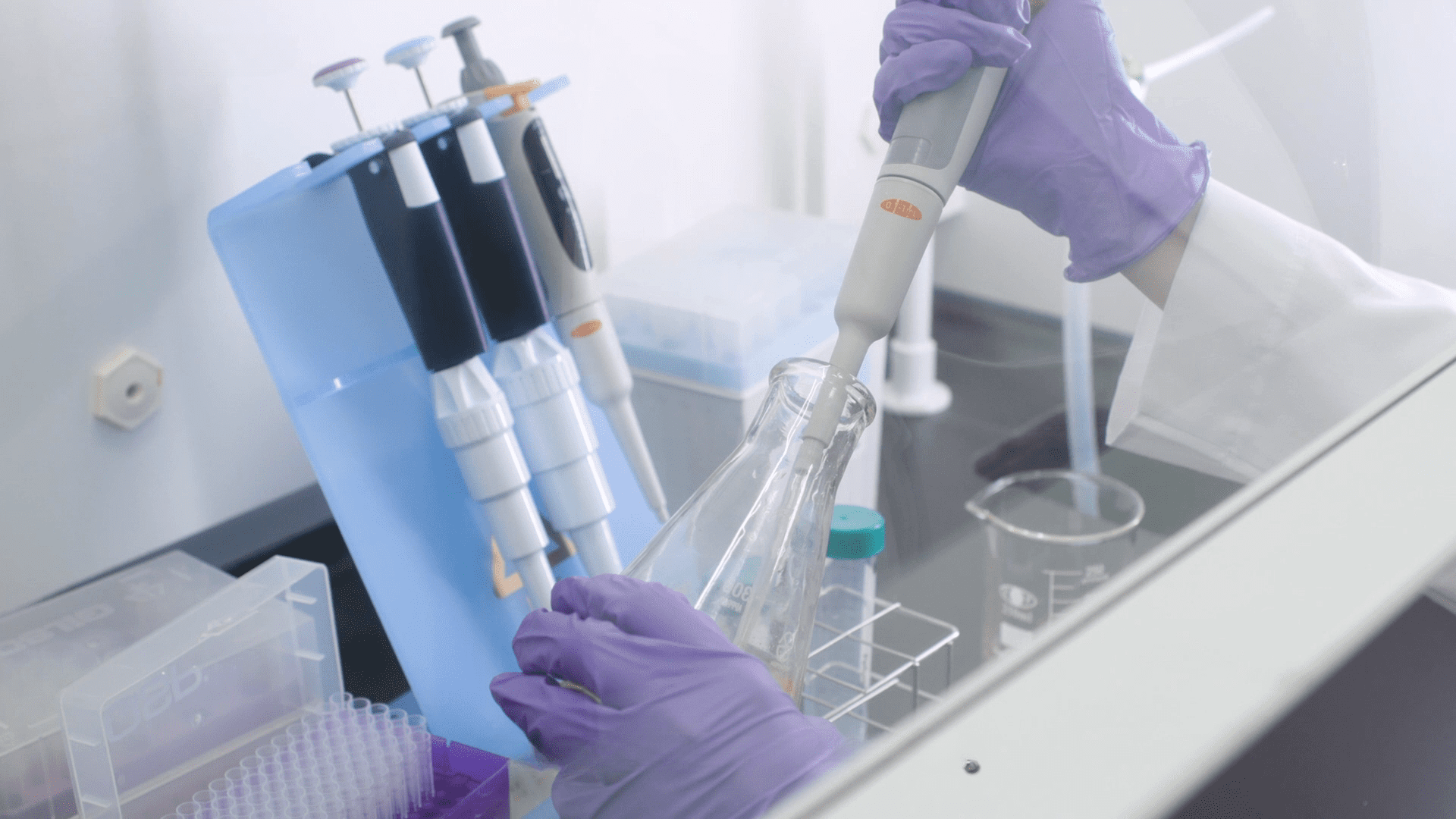 FucoSkin® Brown Algae Extract Supplier by Hi-Q Marine Biotech International Ltd.