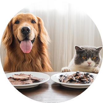 Soins de santé animale